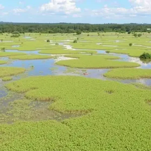 Pantanal dry season for couples: best season: common questions before your trip