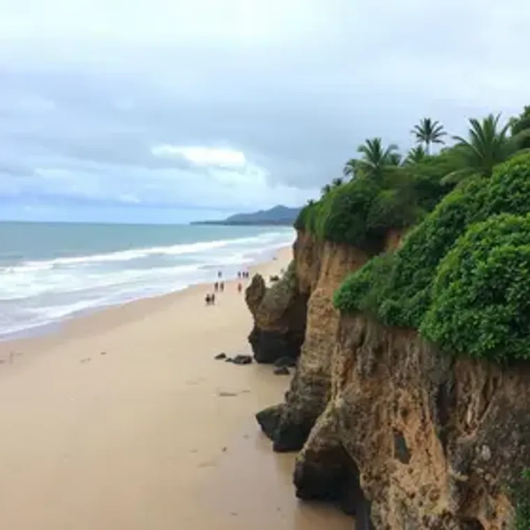 Things to do in Florianópolis on a rainy day: places, tours and useful tips