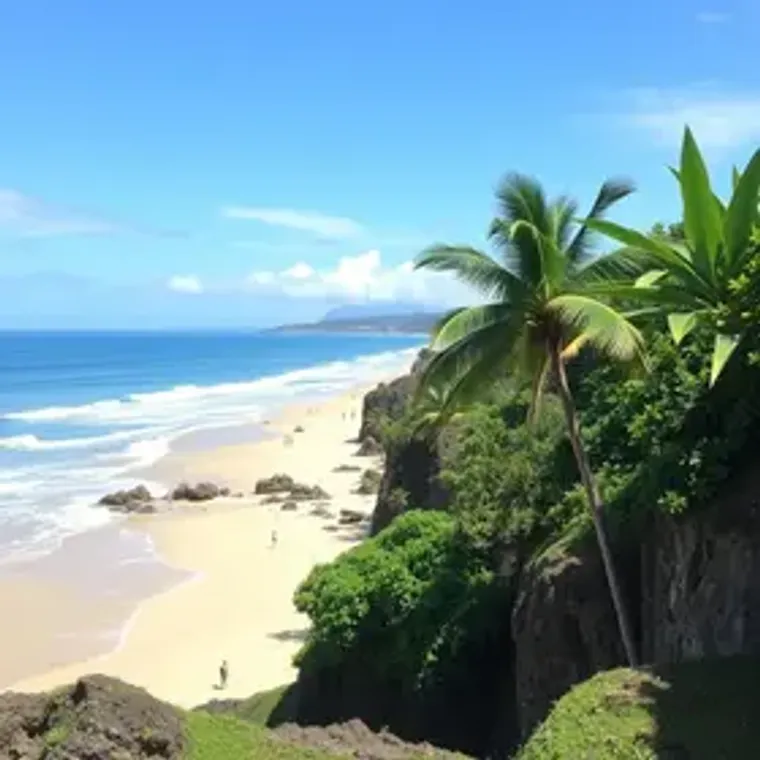 Como reservar hostels em Florianópolis online: preços, regras e passo a passo