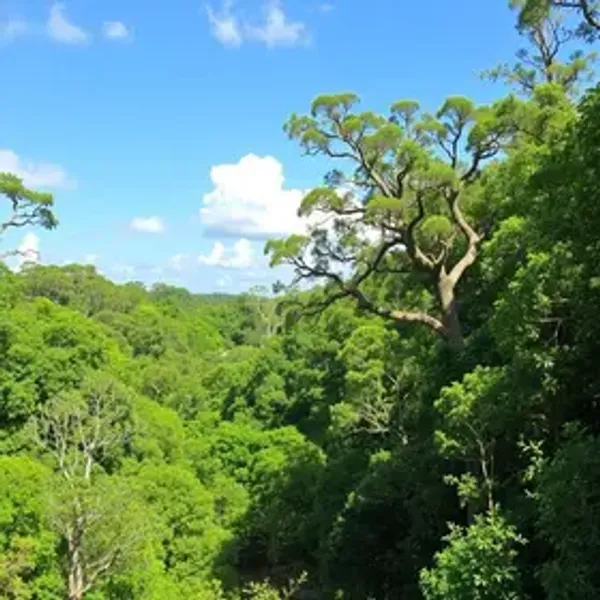 Bonito MS nature itinerary: costs, routes and planning tips