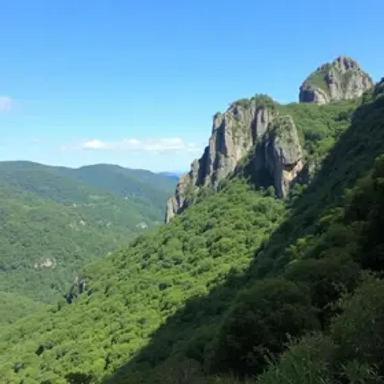 Como chegar a Serra dos Órgãos: passo a passo para organizar a visita