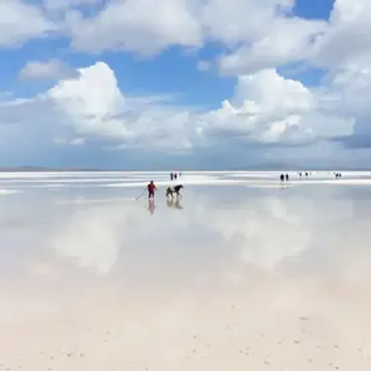 Reservar passeio nos Lençóis Maranhenses online para turistas estrangeiros: o que saber antes de viajar