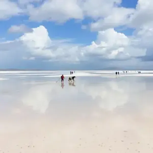 Reservar passeio nos Lençóis Maranhenses online para turistas estrangeiros: o que saber antes de viajar