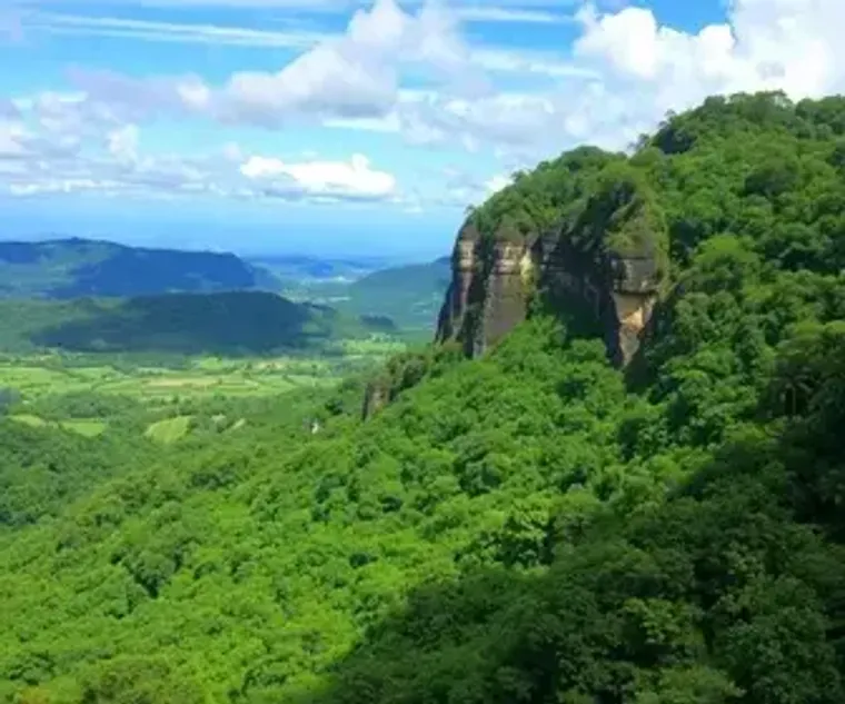 Brazil nature itinerary nature itinerary: what travelers need to know