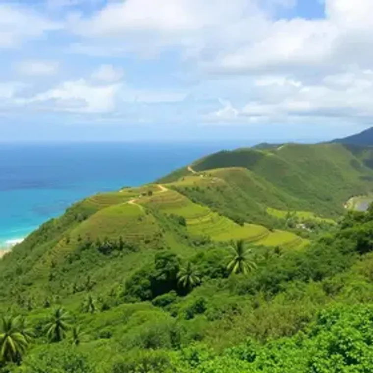 Best time to visit Anavilhanas: timeless tips for Brazil travel