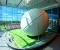 Museu do Futebol events calendar: updates for travelers