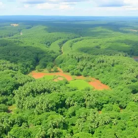 Roteiro de Amazon and Pantanal para primeira viagem: roteiro, custos e dicas práticas