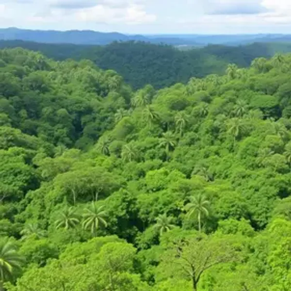 O que levar para visitar Floresta Nacional do Tapajós: guia prático para chegar e aproveitar