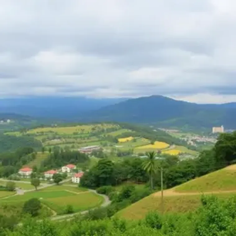 Teresópolis airport to city center guide: step-by-step travel planning guide