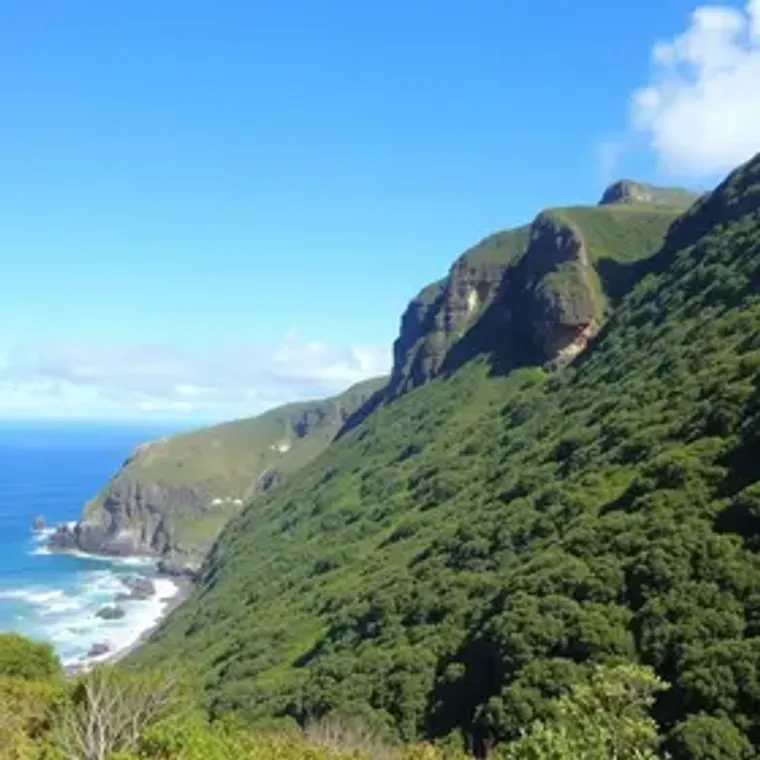 Best hotels near São Miguel dos Milagres: ranked picks for travelers