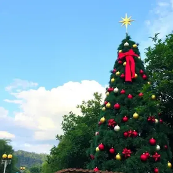 Natal no Brasil na baixa temporada: o que muda: o que saber antes de viajar