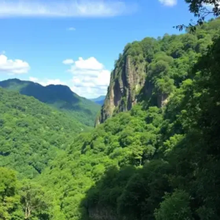Como visitar Parque Nacional da Tijuca: guia prático para chegar e aproveitar