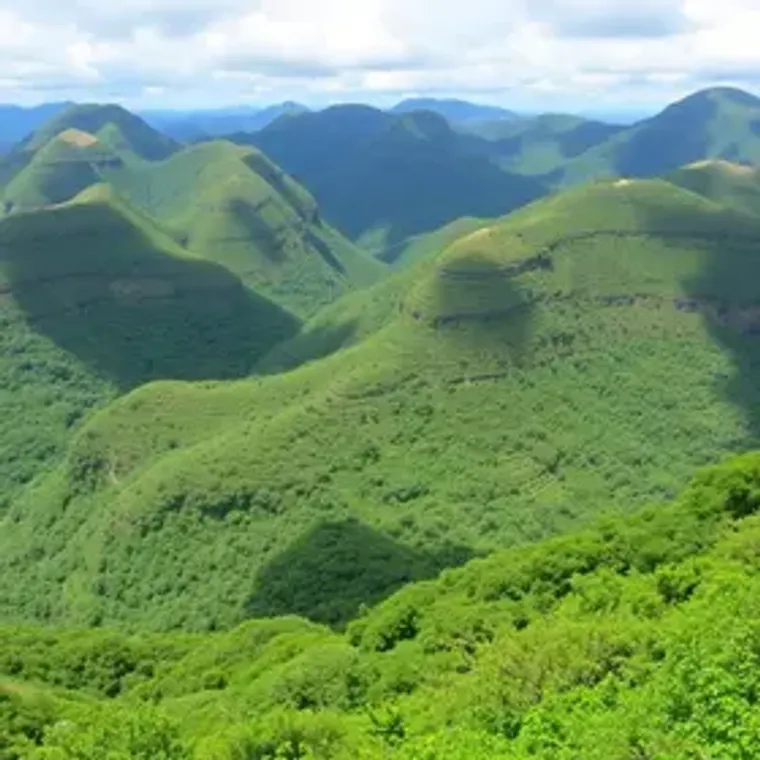Brazil nature itineraries step by step: practical planning guide