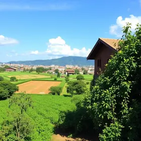 How to book farm hotels near São Paulo online: prices, rules and booking steps