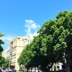Melhores bairros para ficar em Curitiba: o que saber antes de viajar