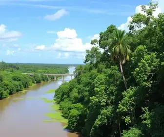 One day in Manaus itinerary: complete Brazil travel guide