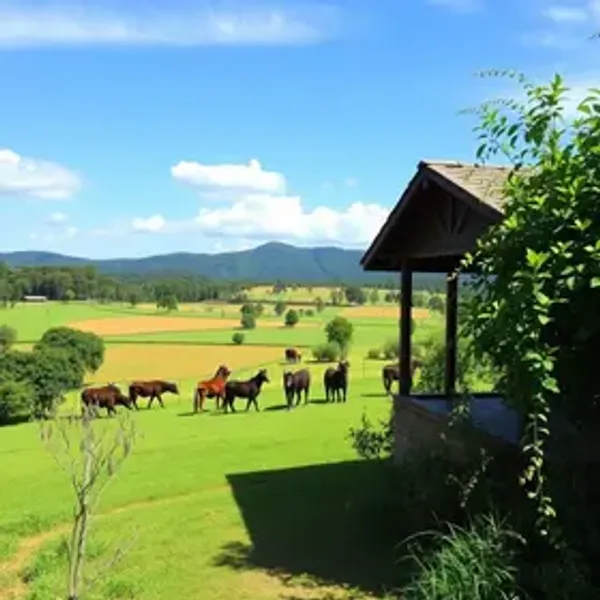 Hotéis fazenda em Minas Gerais com boa localização: lugares, passeios e dicas úteis