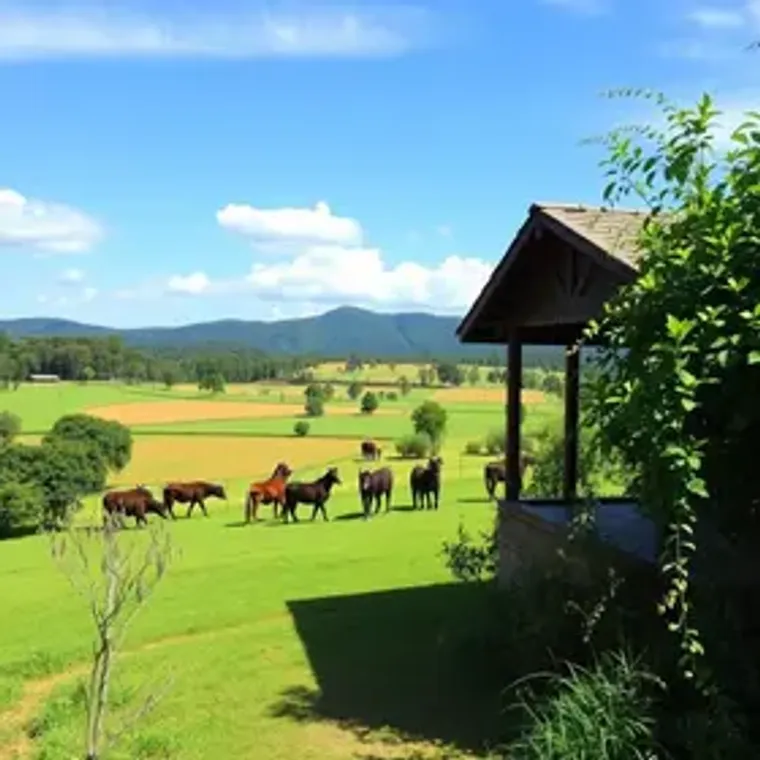 Hotéis fazenda em Minas Gerais com boa localização: lugares, passeios e dicas úteis
