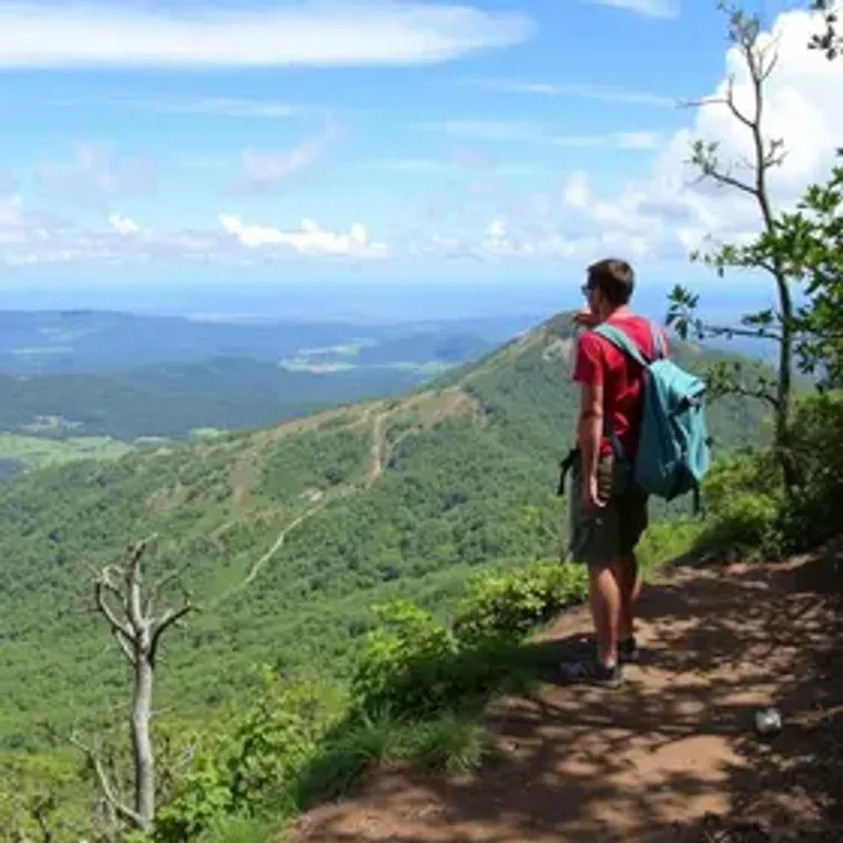 Trilha do Pico do Itapeva vale a pena para ecoturismo: perguntas frequentes para turistas