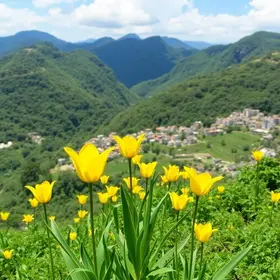 Primavera no Sul do Brasil during New Year holidays: costs, routes and planning tips