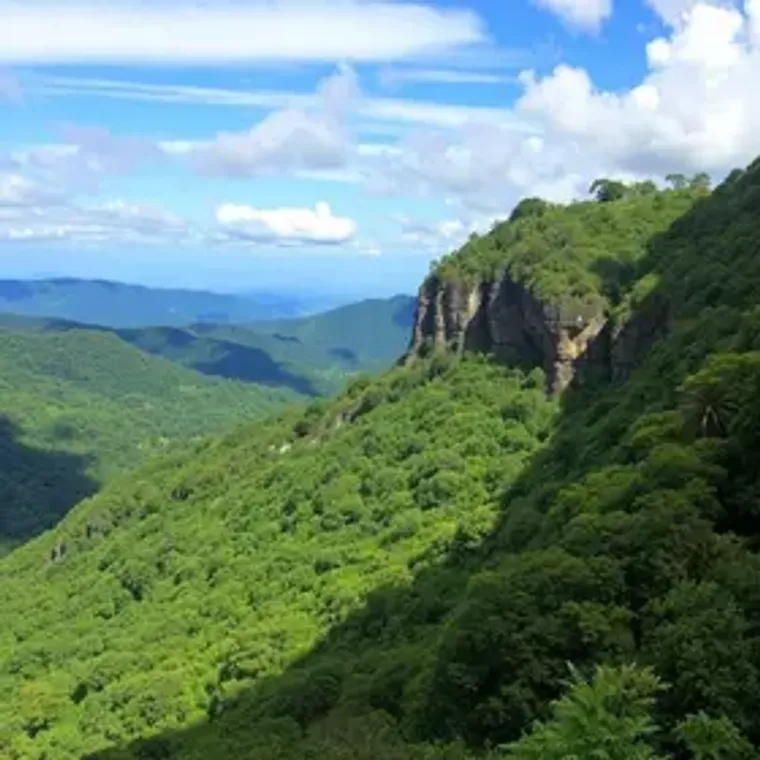 Nature photography in Serra do Roncador: complete Brazil travel guide