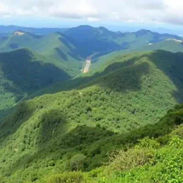 Serra do Mar nature itinerary: complete Brazil travel guide