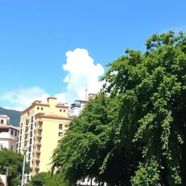 Hostels em Curitiba para casal: lugares, passeios e dicas úteis