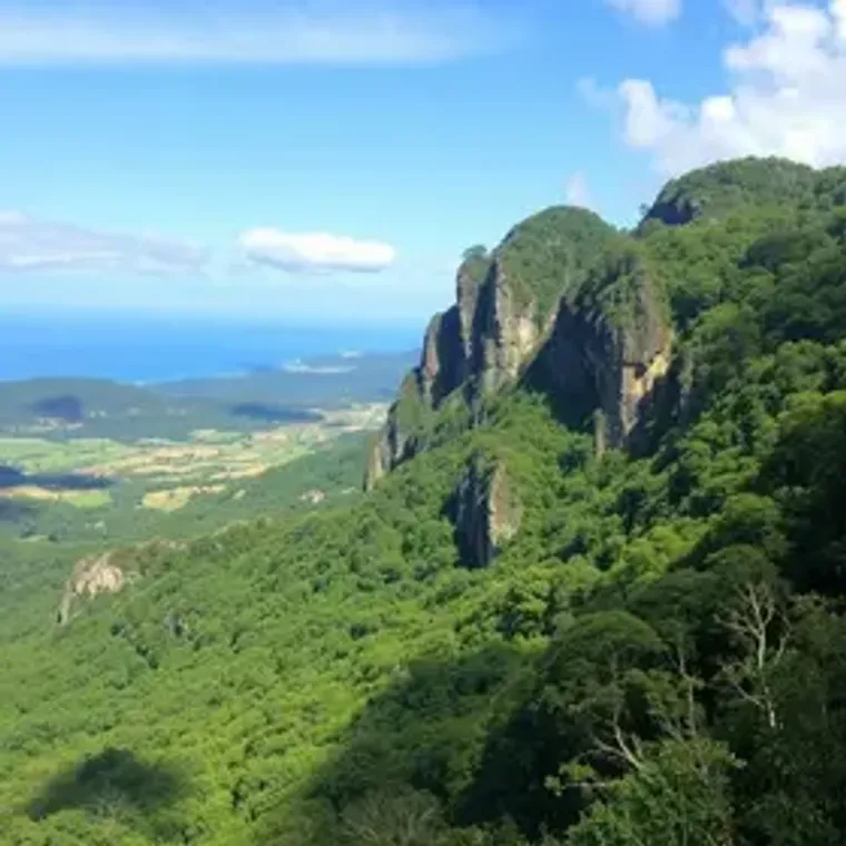 Roteiro de natureza em Serra do Mar: roteiro, custos e dicas práticas