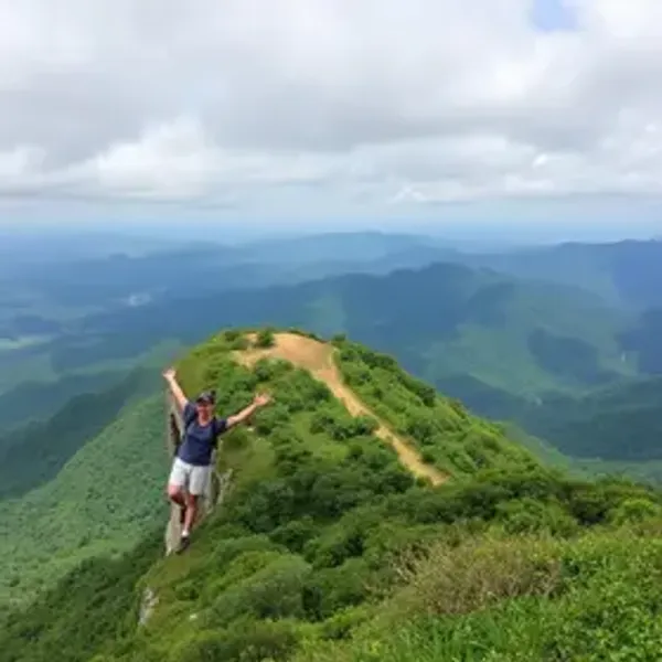 Best viewpoints in Serra da Bocaina: curated travel ideas for visitors