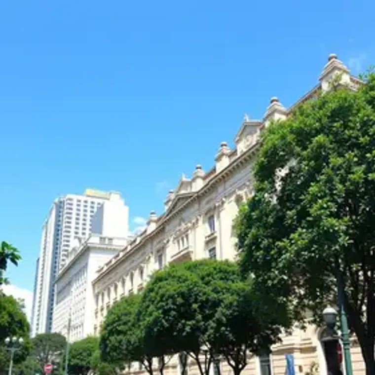 O que fazer em São Paulo: onde fica, como chegar e o que fazer