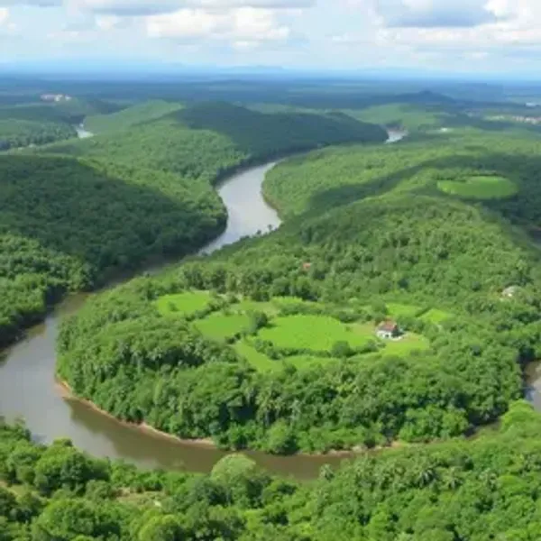 Onde ficar na Amazônia para turismo: guia completo para planejar sua viagem