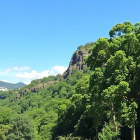 Best local experiences in Belo Horizonte: places, tours and useful tips
