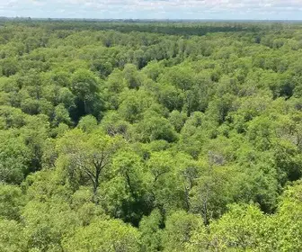 Roteiro de natureza em Bonito MS: roteiro, custos e dicas práticas