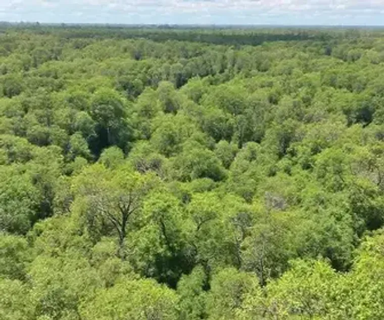 Roteiro de natureza em Bonito MS: roteiro, custos e dicas práticas
