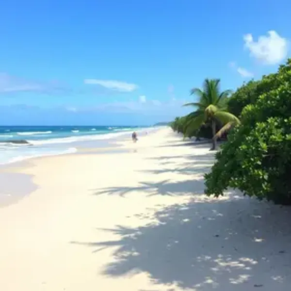 Jericoacoara no inverno: o que fazer: dicas sempre úteis para sua viagem
