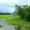Época de chuva no Pantanal: dúvidas comuns e dicas essenciais