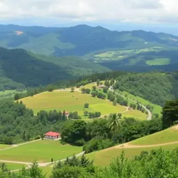 Campos do Jordão from São Paulo transfer guide for tourists: guide to choosing the right service