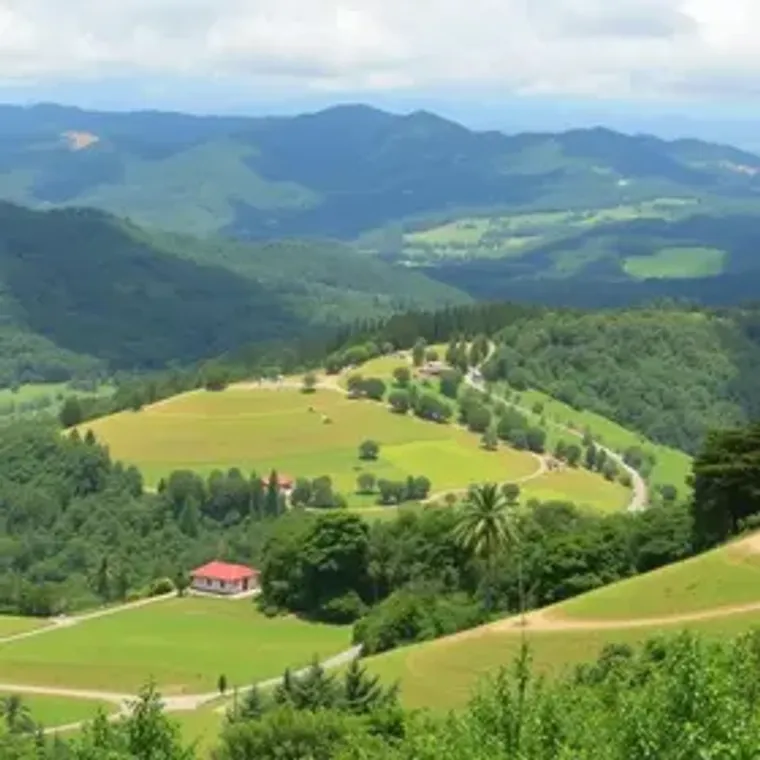 Campos do Jordão from São Paulo transfer guide for tourists: guide to choosing the right service