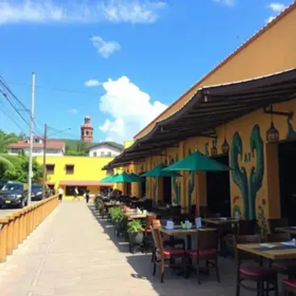 Restaurantes perto de Museu Afro Brasil: melhores opções para o seu roteiro