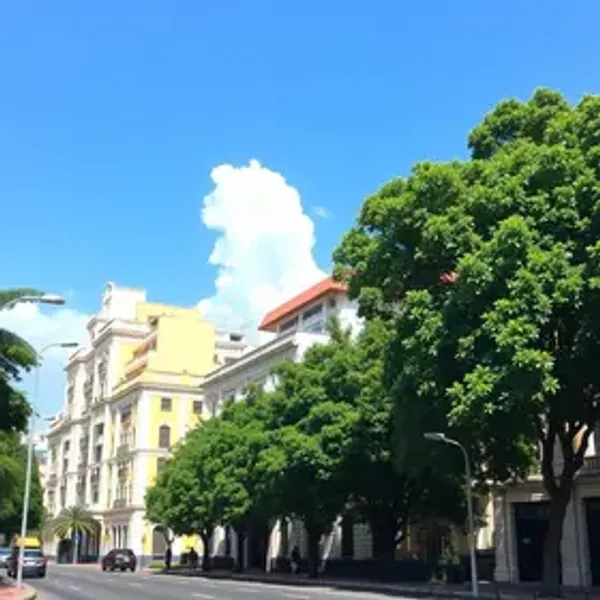 Best areas to stay in Curitiba: costs, routes and planning tips