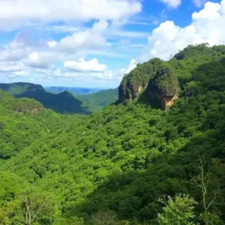 Chapada dos Veadeiros food and culture itinerary: complete Brazil travel guide